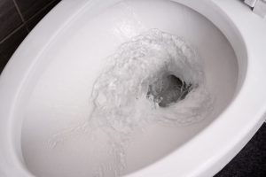 toilet flushing properly